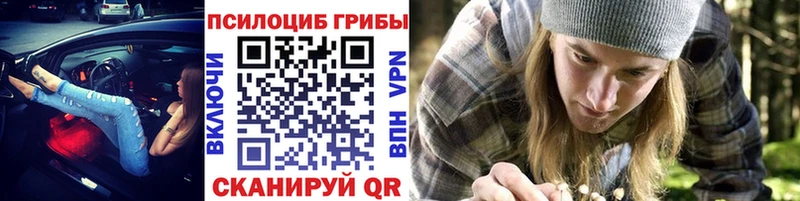 Псилоцибиновые грибы ЛСД  Купить закладки  Кемерово 